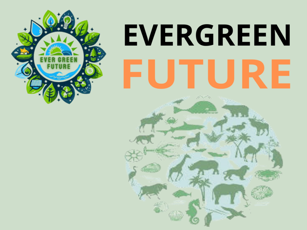 evergreen future